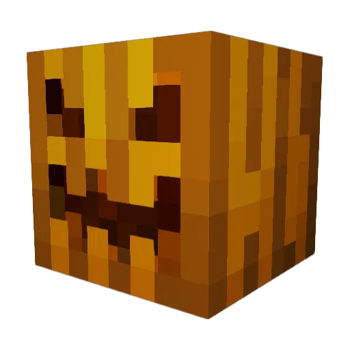 _Mr_Doctor Minecraft avatar head, 3D render