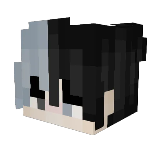 _Mr_Swift_ Minecraft avatar head, 3D render