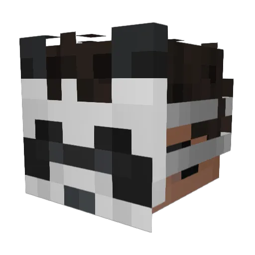 _Mrpandar Minecraft avatar head, 3D render