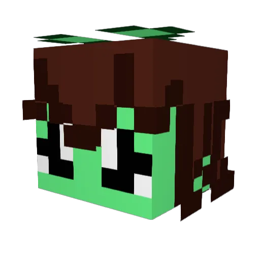 _Munchy1_ Minecraft avatar head, 3D render