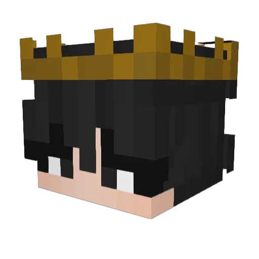 _MxoN_ Minecraft avatar head, 3D render