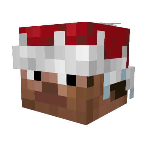 _Mxrty Minecraft avatar head, 3D render