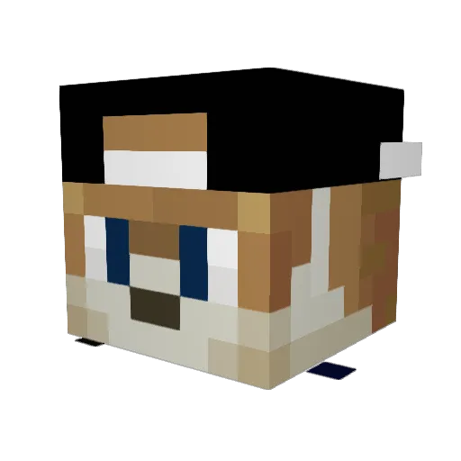 _Mxts Minecraft avatar head, 3D render