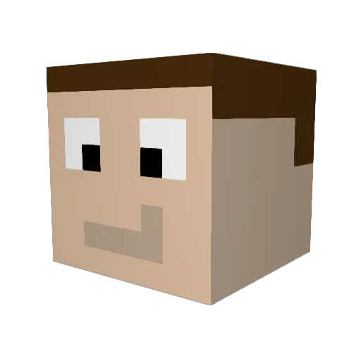 _N00bly_ Minecraft avatar head, 3D render