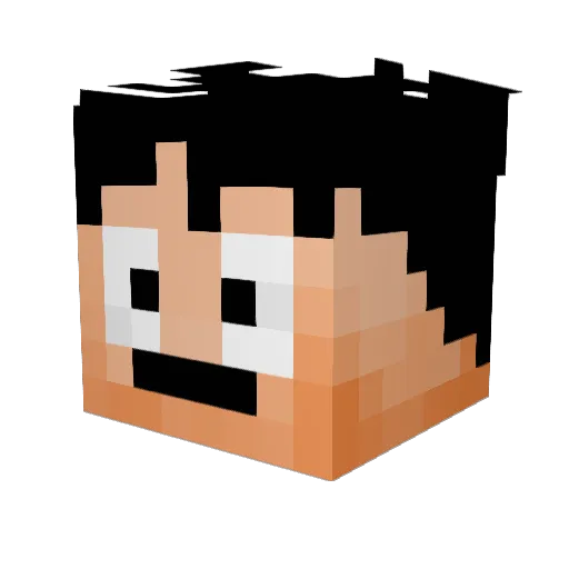 _N0ISE_ Minecraft avatar head, 3D render