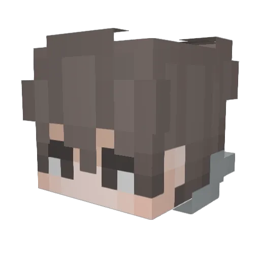 _N0Name7_ Minecraft avatar head, 3D render