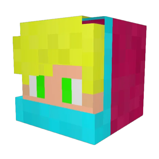 _N0Rt Minecraft avatar head, 3D render
