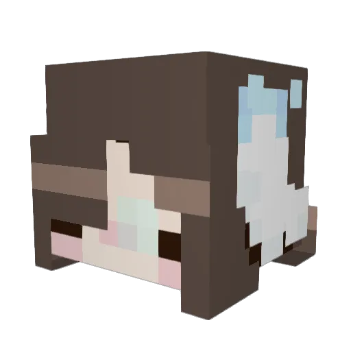 _N0aaH_ Minecraft avatar head, 3D render