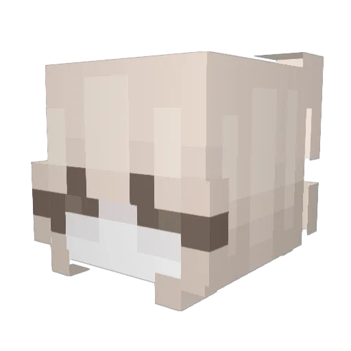 _N14 Minecraft avatar head, 3D render