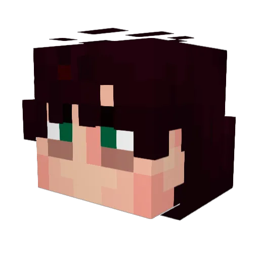 _N1CKUS_ Minecraft avatar head, 3D render