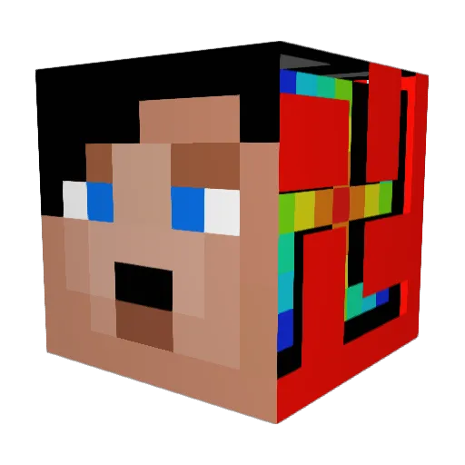 _N1GGER____ Minecraft avatar head, 3D render