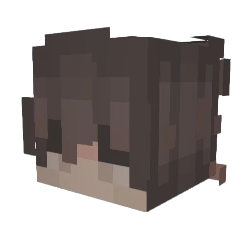 _N4M3_ Minecraft avatar head, 3D render