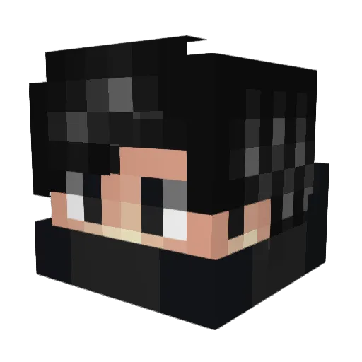 _N4WOE_ Minecraft avatar head, 3D render