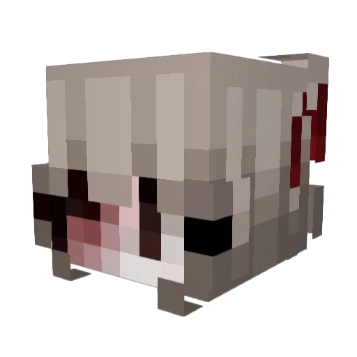 _N4sh0 Minecraft avatar head, 3D render