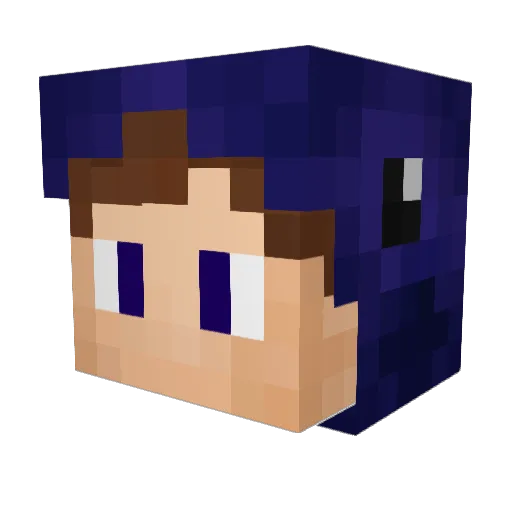 _N7 Minecraft avatar head, 3D render