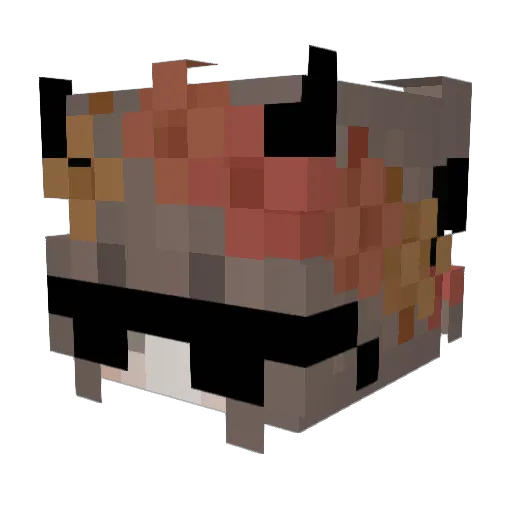 _NAOMII_ Minecraft avatar head, 3D render