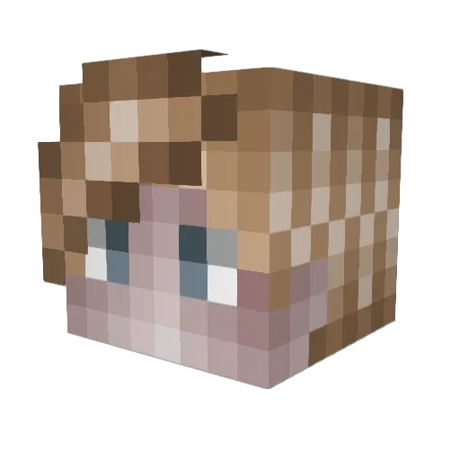 _NELKA_ Minecraft avatar head, 3D render