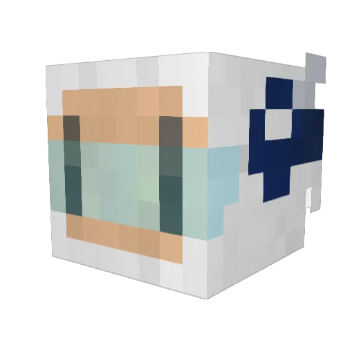 _NHD_ Minecraft avatar head, 3D render
