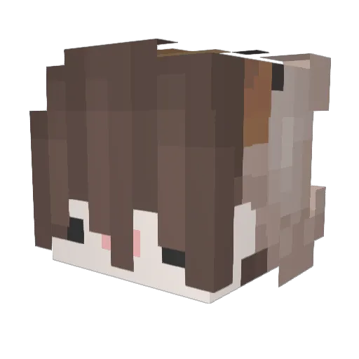 _NINAC_ Minecraft avatar head, 3D render