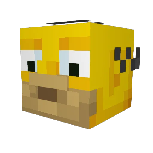 _NOAH2_ Minecraft avatar head, 3D render