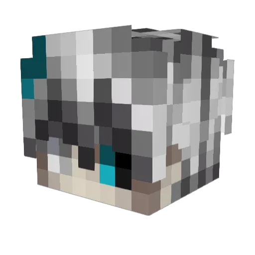_NOTORIOUS Minecraft avatar head, 3D render