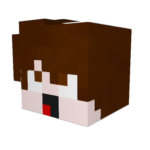 _NOVA_1 Minecraft avatar head, 3D render