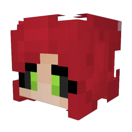 _N_Elly_ Minecraft avatar head, 3D render