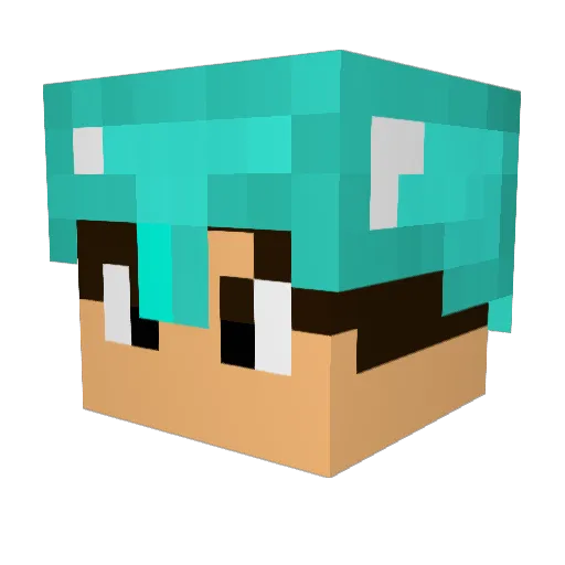 _N__I__C__O_ Minecraft avatar head, 3D render