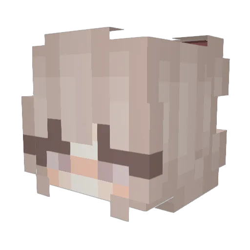 _N_e_y_w_ Minecraft avatar head, 3D render