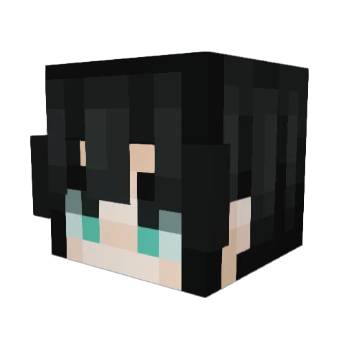 _Nacho1 Minecraft avatar head, 3D render