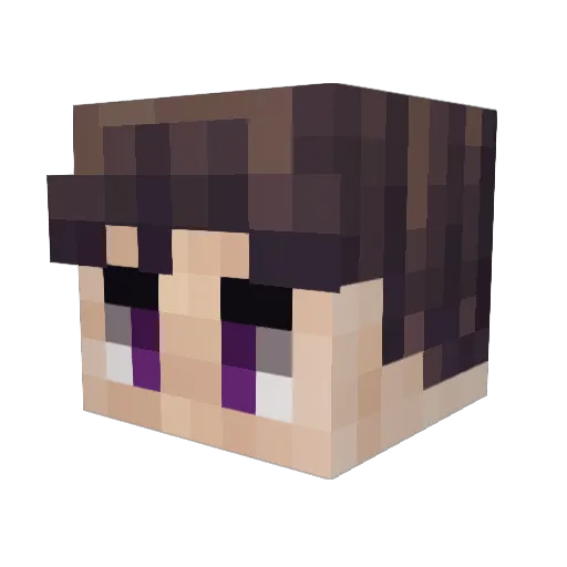 _Nacht_ Minecraft avatar head, 3D render