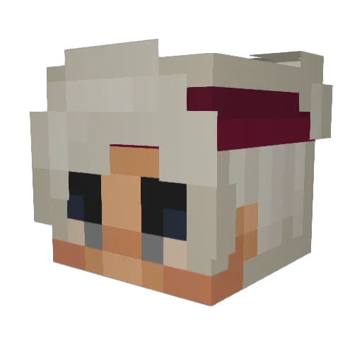 _NagZ_ Minecraft avatar head, 3D render
