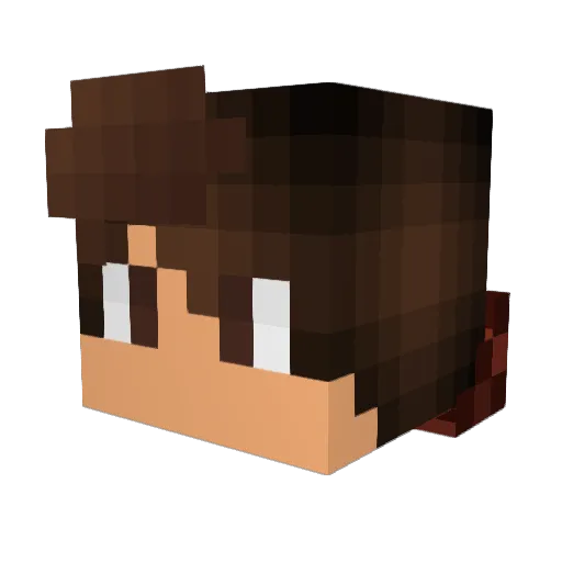 _Nait1 Minecraft avatar head, 3D render