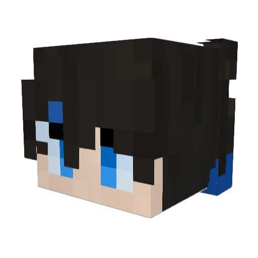 _Naiyang_ Minecraft avatar head, 3D render
