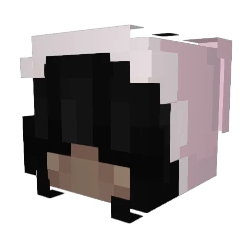 _Nam Minecraft avatar head, 3D render