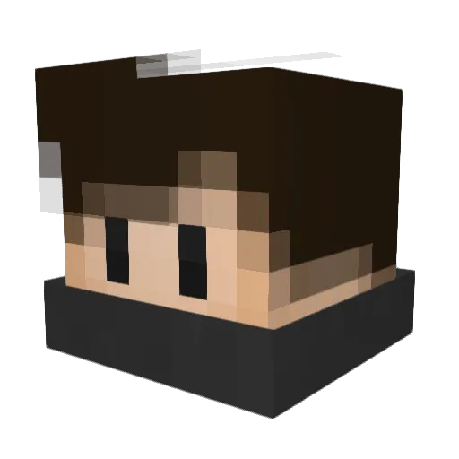 _NamelessJoe_ Minecraft avatar head, 3D render