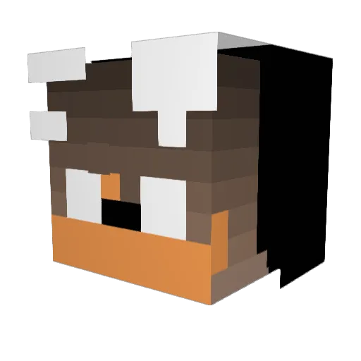_NamenL0s_ Minecraft avatar head, 3D render