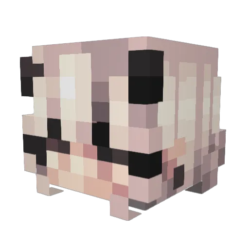 _Nantai_2 Minecraft avatar head, 3D render
