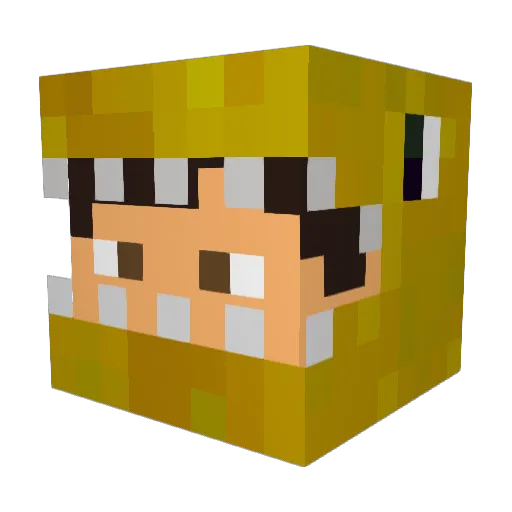 _Naskem_ Minecraft avatar head, 3D render