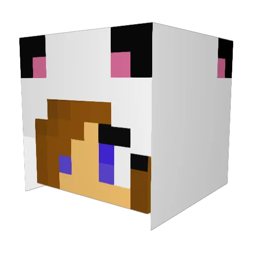 _Natboy45 Minecraft avatar head, 3D render
