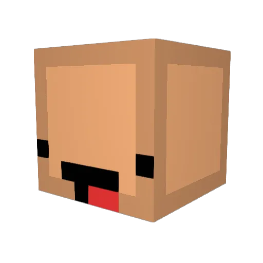 _NeeZiaa_ Minecraft avatar head, 3D render