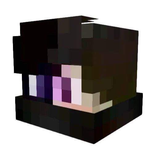 _Negative1337_ Minecraft avatar head, 3D render