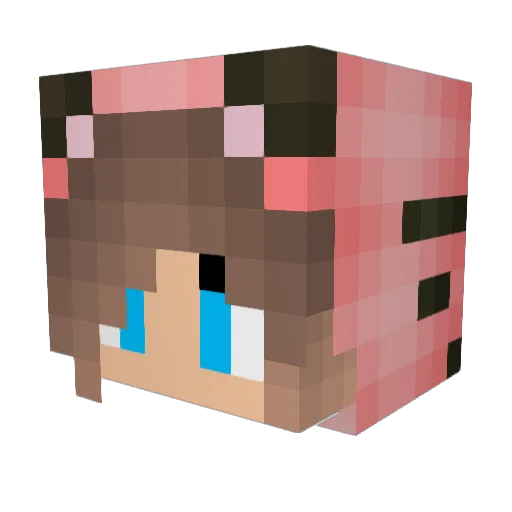 _Neith64_ Minecraft avatar head, 3D render