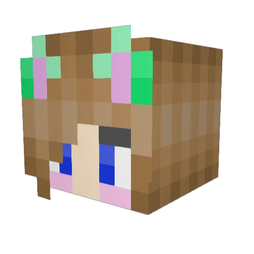 _Nelexy_ Minecraft avatar head, 3D render