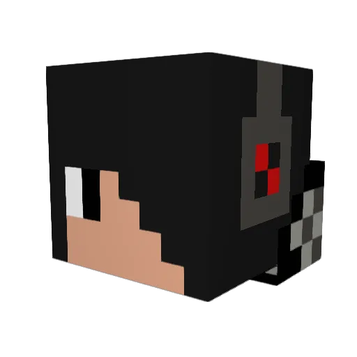 _Nellsinho Minecraft avatar head, 3D render