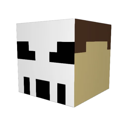 _Neo_Unleashed Minecraft avatar head, 3D render