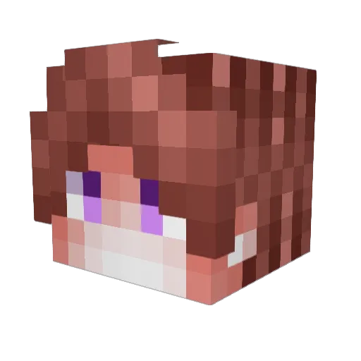 _Neppy_ Minecraft avatar head, 3D render