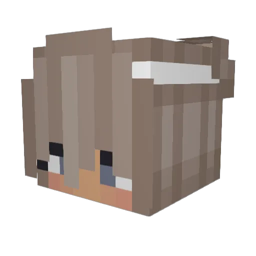 _NerdSs Minecraft avatar head, 3D render