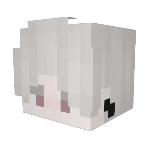 _Nergal Minecraft avatar head, 3D render