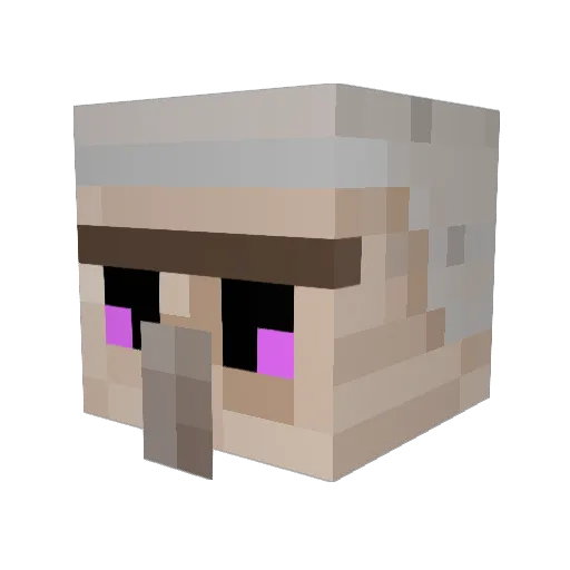 _NetherGuard_ Minecraft avatar head, 3D render